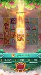 ht66 · Lgd Monkey Kg